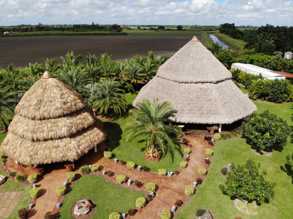 Aerial view of two thatched tiki huts surrounded by tropical landscaping
